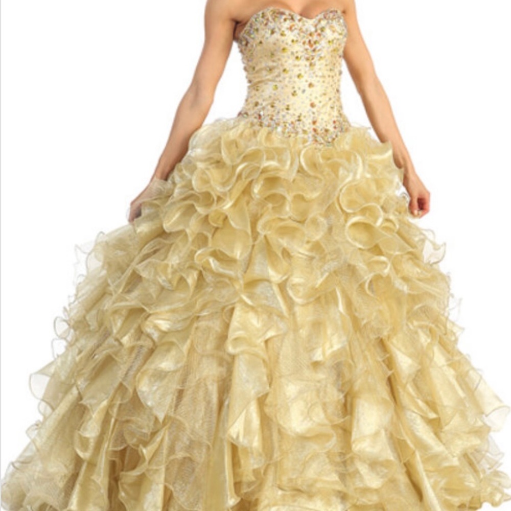 NWT Bicici & coty quinceanera dress